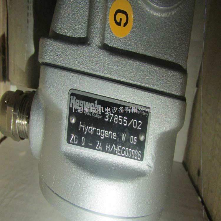 HEGWEIN火焰探測器AF900T10-盡在買賣IC網